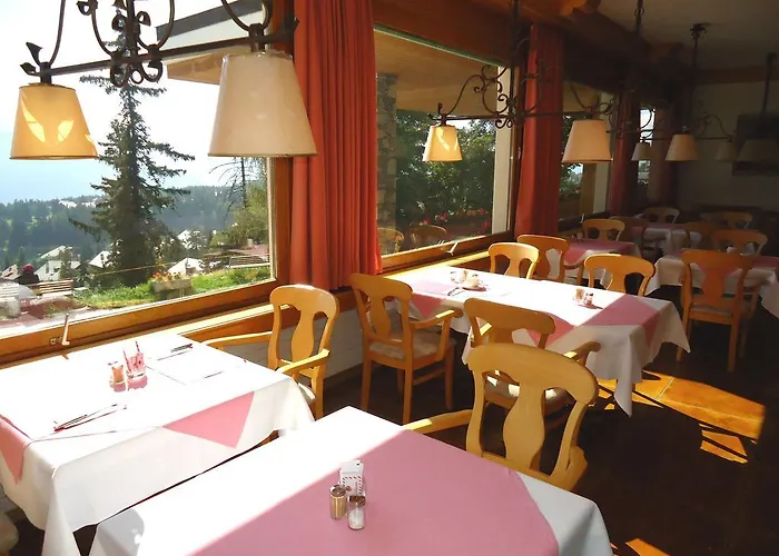 فندق Grand Du Parc كرانز مونتانا